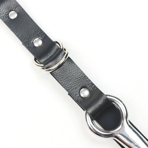 Anal Kinky 5853 Leash EverydayUse with Collar and Hook 0315